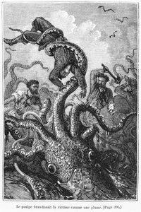 The Octopus Attacking the Nautilus, illustration från 